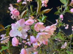 -城市运动公园(未央区)
