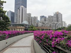 -haxnbauer海森堡德国餐厅(深圳coco店)