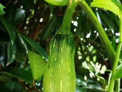 -春花秋色城市公园