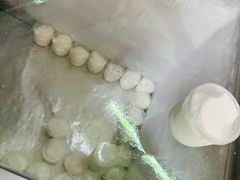-洪馨椰子