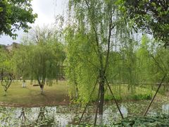 -沐仙湖湿地公园