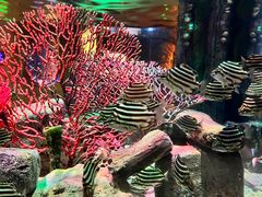 -沈阳海洋探索中心