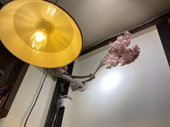 -金龙咖喱