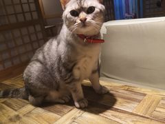 -小时光咖啡馆(开森度假森林店)