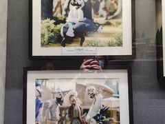 -上海动漫博物馆