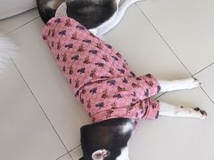 -怪兽屋·羊驼·猫咖·狗咖(俊华广场店)