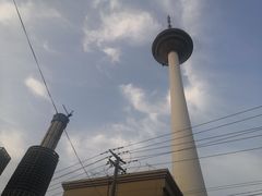 -辽宁电视塔