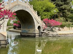 -团结湖公园