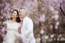 点击看大图 -苏菲亚婚纱影楼尊爵店(昆区店)