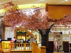 -大江户·温泉洗浴(浑南店)