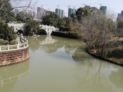 -八大山人梅湖景区