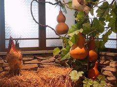 -洞庭土菜馆(天河北总店)
