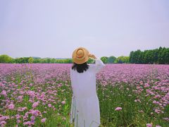 -山明水秀大饭店