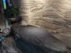 -白鹤梁水下博物馆