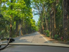 -上海海湾国家森林公园