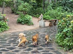 -黔灵山公园-南门售票处