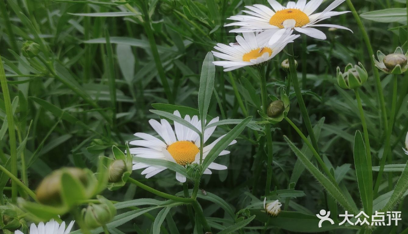 五月的花&初夏的风