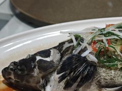 -老洋房花园饭店(绍兴路店)