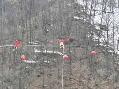 -栾川竹海野生动物园