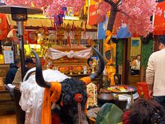 -吉祥圣雪藏餐