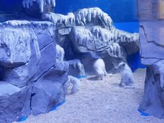 -石家庄海洋公园