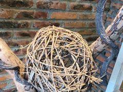 -湘邻呷铺·田园家宴(汉基广场店)