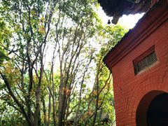 -洛阳白马寺