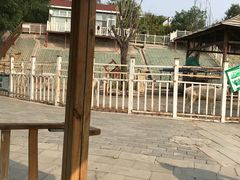 -北京鹿世界主题园