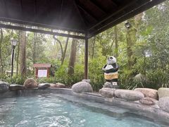 -青城道汤池