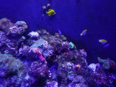 -成都浩海立方海洋公园