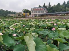-阿哈湖国家湿地公园