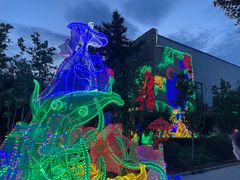 -南宫五洲植物乐园