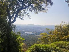 -灵岩山风景区