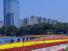 -海心沙亚运公园