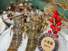 -喜聚薈·花膠雞海鮮火鍋(越秀店)