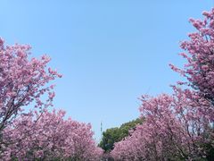 -凤凰沟景区