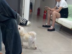 -佳雯宠物医院·皮肤科·内外科(春晓路分院)