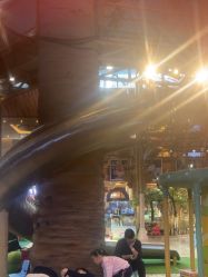 -卡通尼·Safari非洲探索乐园·生日会(金桥国际商业广场店)