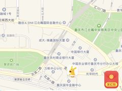 -奈雪的茶(国金中心店)