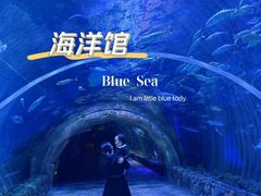 -华夏文旅海洋公园