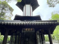 -上海佘山国家森林公园天马山园