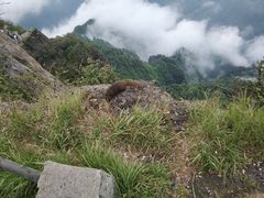 -峨嵋山金顶