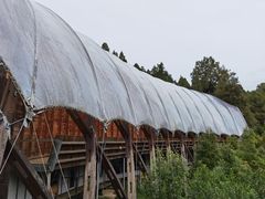 -怀托摩萤火虫洞