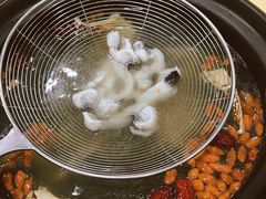 -濠轩阁特色生蚝火锅(水湾路店)