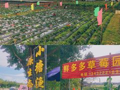 -小塘渔村(开平大道店)