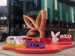 -Apple零售店(中街大悦城店)