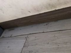 -Zsmart智尚酒店(上海轻纺市场定边路地铁站店)