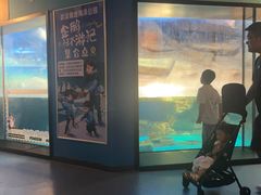 -海合安武汉极地海洋公园