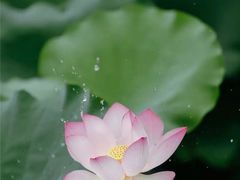 -马家湾湿地公园