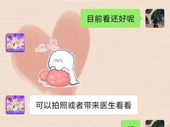 -艾贝尔宠物医院·24H转诊中心·肿瘤猫专科(江宁双龙店)